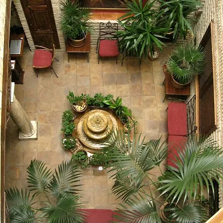 Arte Vida & Apartment *